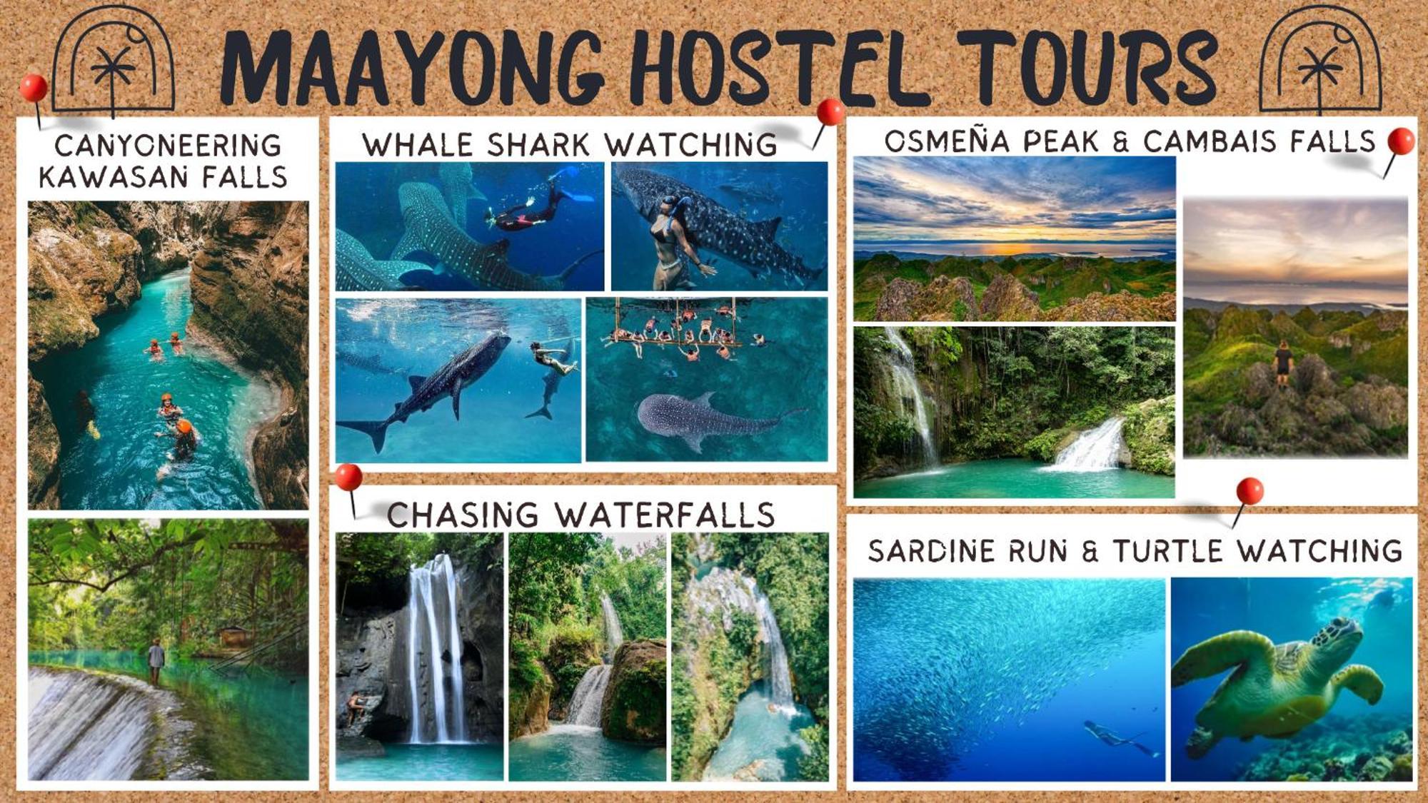 Maayong Hostel (Adults Only) Moalboal Esterno foto